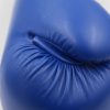 adiWAKOG1 - Blue - close up 04